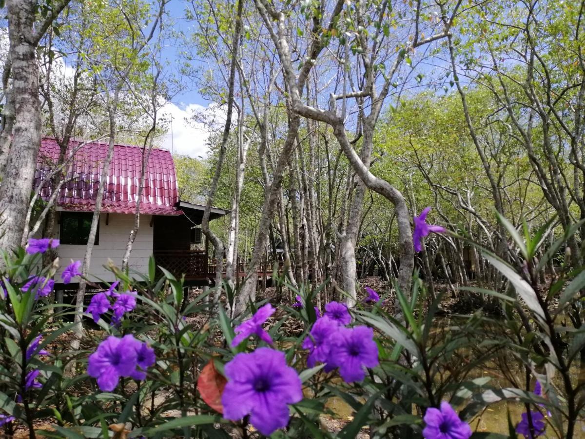 Api-Api Eco Chalet Pantai Kok Exteriér fotografie